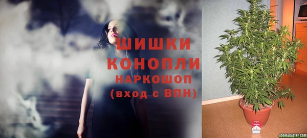 мяу мяу мука Беломорск
