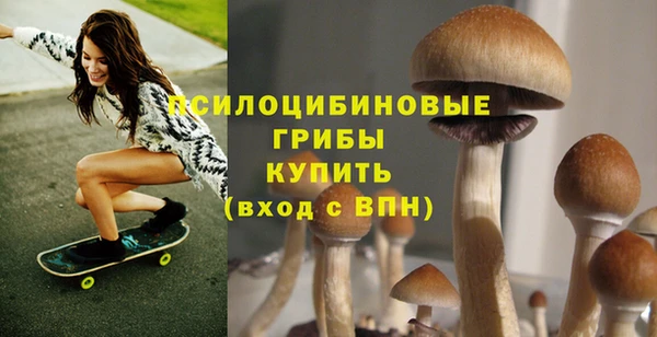 стафф Баксан